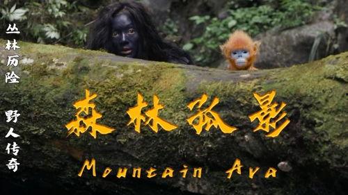 森林孤影,探寻神秘森林中的神秘传说