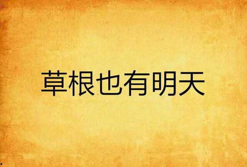 为了明天——一部关于草根创新者的纪录片